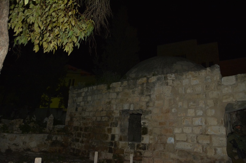קובץ:DSC 9999.JPG