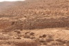 IMG 0137.JPG