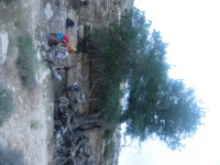 IMG 1265.JPG