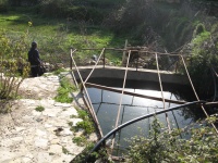 IMG 1367.JPG
