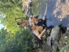 IMG 4131.JPG