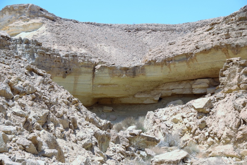 קובץ:IMG 7842.JPG