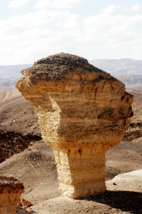 IMG 8646.JPG