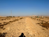 IMG 8906.JPG