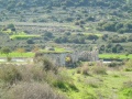 תמונה ממוזערת לגרסה מתאריך 19:46, 16 בדצמבר 2012